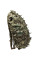Pack Scrim Leaf Oak LaserCut Multicam M