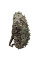 Pack Scrim Leaf Maple LaserCut Multicam S