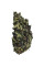 Pack Scrim Leaf Oak Light Multicam Tropic S