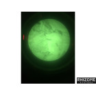 ML Groin Protection V2 Multicam (Cover) ML Groin Protection V2 Multicam (Cover)