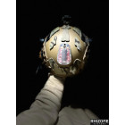 Helmet Patch Covers PGD ARCH Multicam